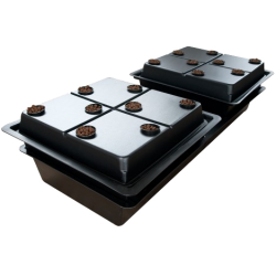 Amazon / Aeroponics Amazon / Aeroponics